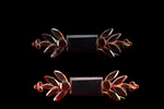 Elegant Shiny Red Ruby Brooch (Creative) by Alarisse Romano Lopez